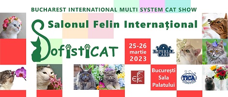 cover sofisticat martisor 2023